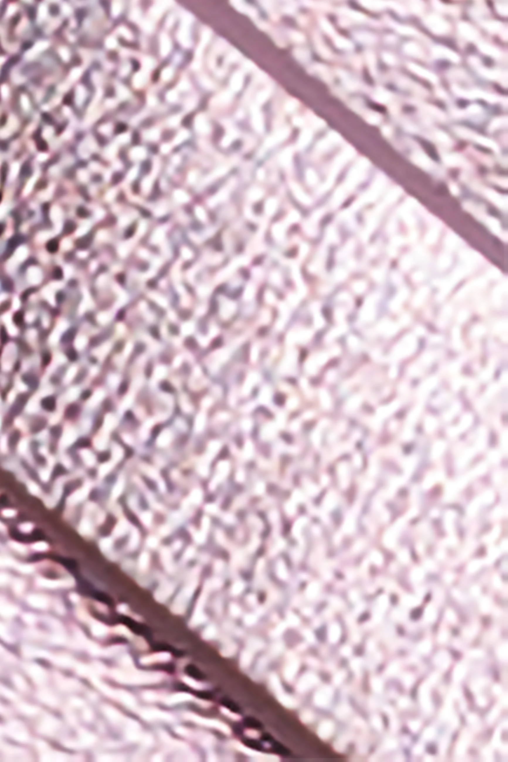 Shiny Belt - Image 4